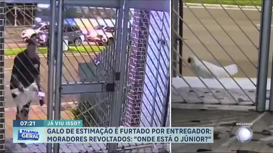 Entregador é flagrado roubando galo de estimação em condomínio no Espírito Santo
