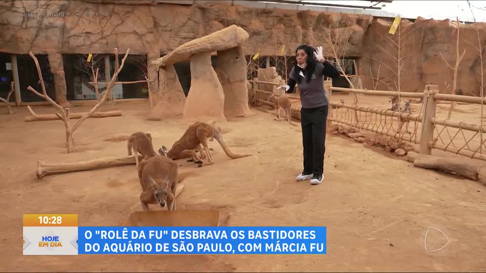 Rolê da Fu: Márcia Fu visita os animais do primeiro aquário temático da América Latina
