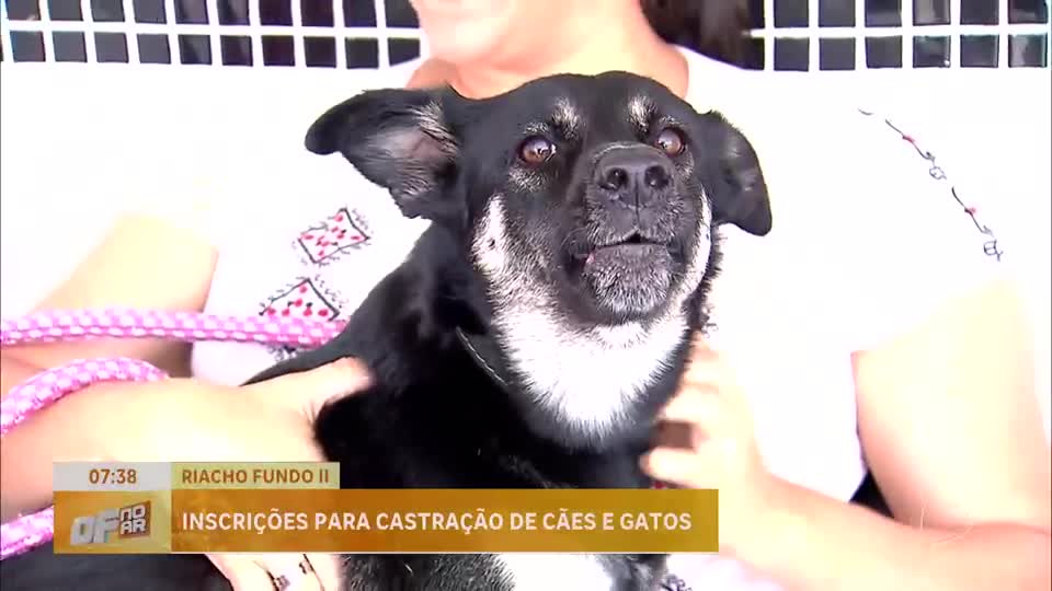 GDF promove castração e outros serviços em evento no Riacho Fundo II (DF)