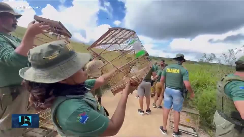 Operação do Ibama prende 27 pessoas por tráfico de animais silvestres em Pernambuco