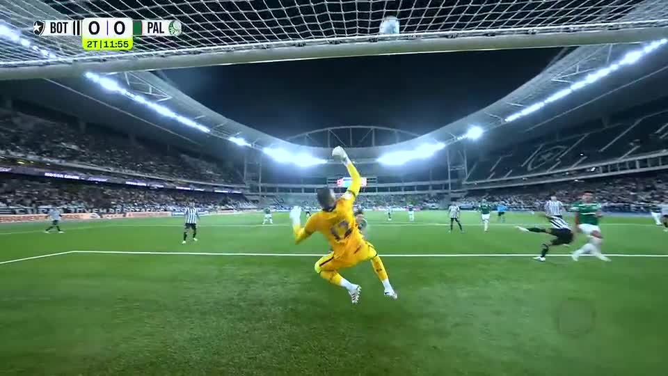 Incrível! Gabriel Batista faz uma das melhores defesas do ano e salva o Botafogo