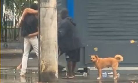 VÍDEO: Briga entre homens em situação de rua termina com um esfaqueado e outro preso na Barra