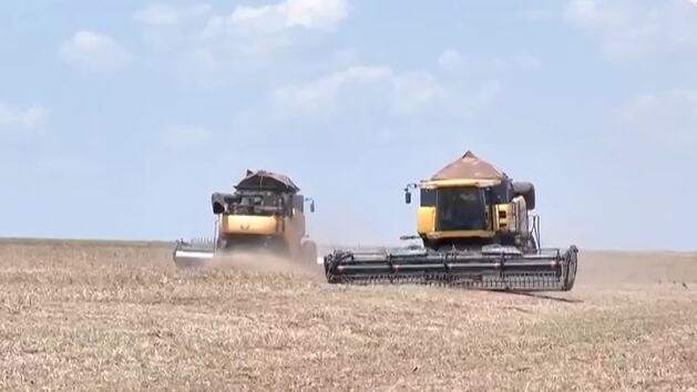Número de pessoas empregadas no agronegócio recua