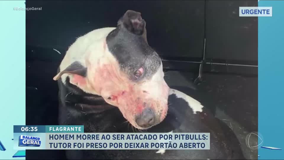 Homem morre após ser atacado por três pitbulls na orla de uma praia do Rio Grande do Sul