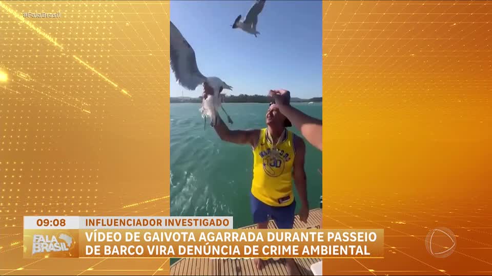Influenciador Yuri Magnífico é denunciado por agarrar gaivota em Cabo Frio (RJ)