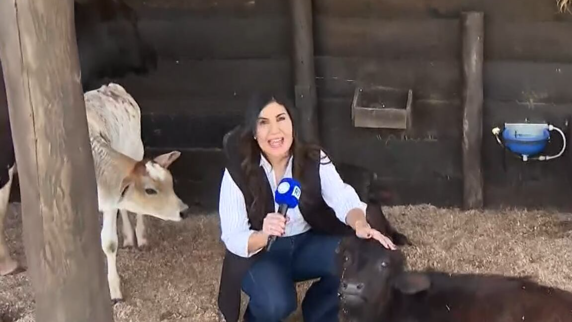 A Fazenda 17: Venenosa mostra bastidores da próxima edição do reality