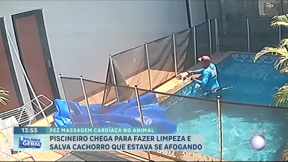 Piscineiro salva cachorrinho que se afogava em piscina de casa em Goiânia