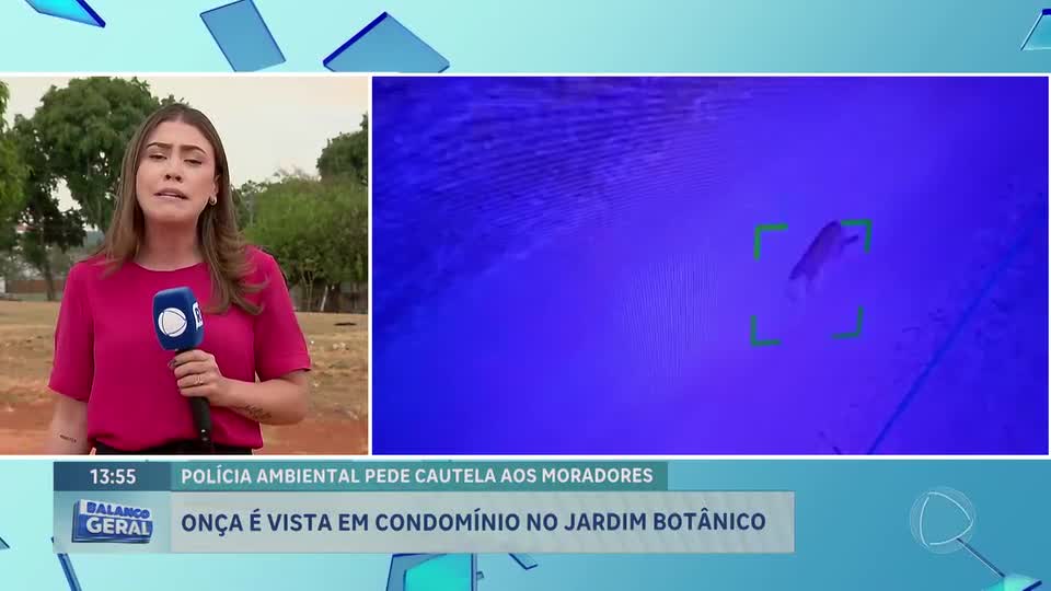 Onça-preta é registrada em condomínio do Jardim Botânico (DF) e assusta moradores