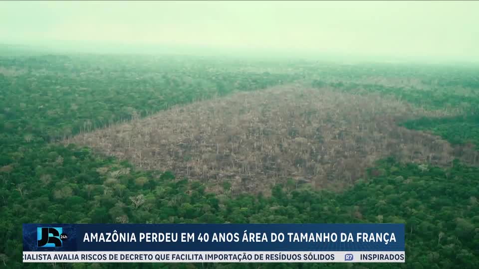 Área desmatada da Amazônia em 40 anos equivale ao território da França
