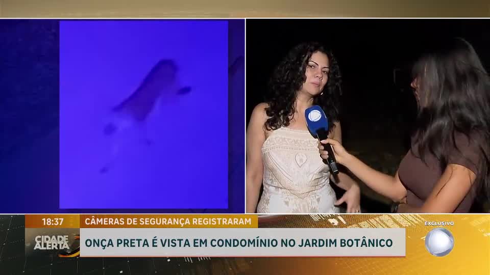 Moradora do Jardim Botânico (DF) relata encontro com onça-preta no quintal de casa