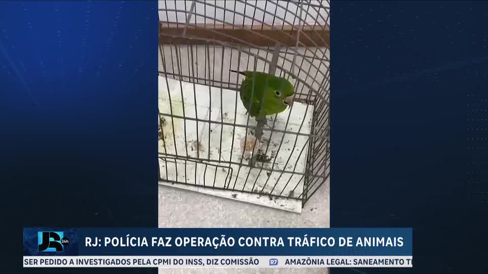 Polícia do Rio de Janeiro faz operação contra tráfico de animais