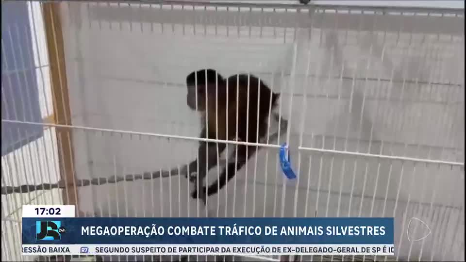 Megaoperação contra tráfico de animais prende 45 pessoas em três estados