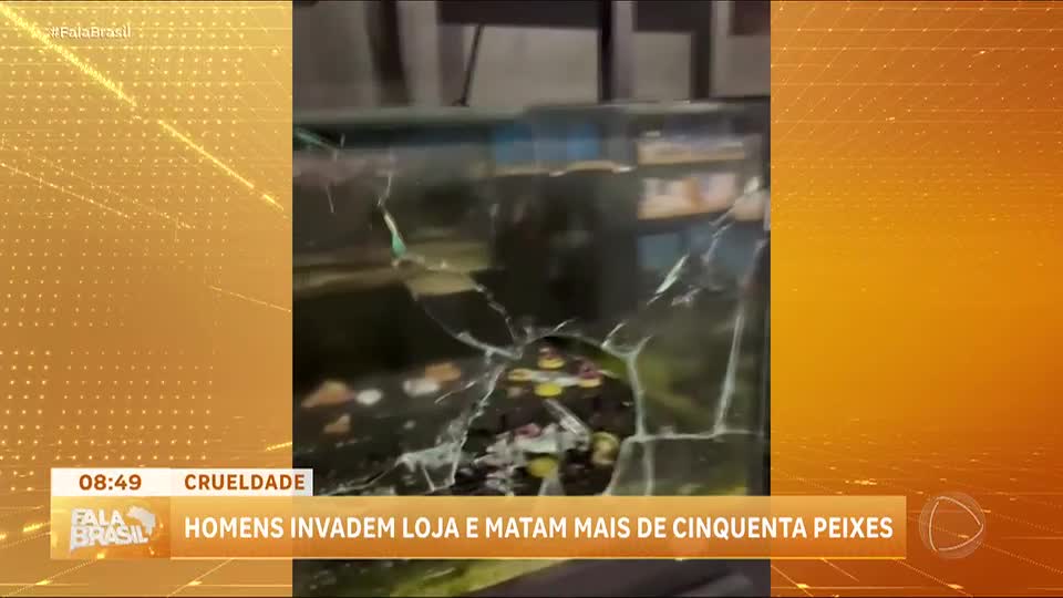 Criminosos invadem loja e matam mais de 50 peixes em São Paulo