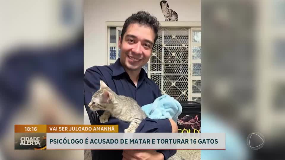 Julgamento de psicólogo acusado de torturar e matar gatos no DF começa nesta quinta