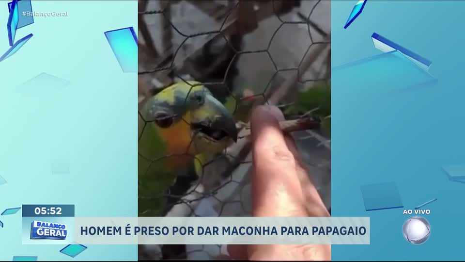 Homem é preso após oferecer maconha a papagaio em vídeo que viralizou nas redes