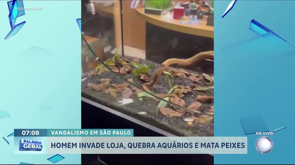 Homem invade loja, quebra aquários e provoca mortes de peixes em São Paulo