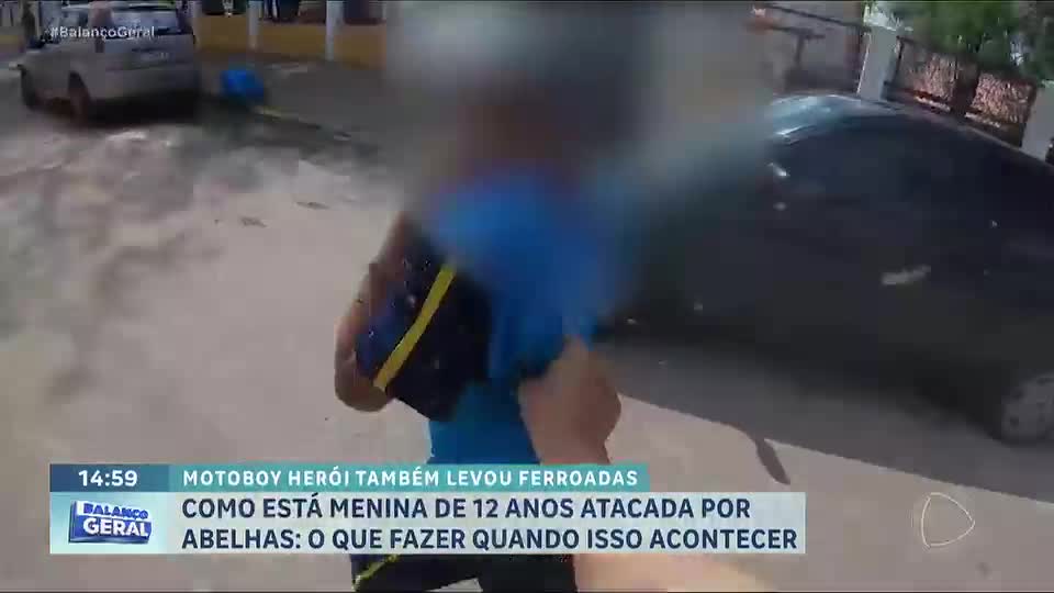 Menina leva mais de 100 picadas de abelhas e precisa ser internada em MG