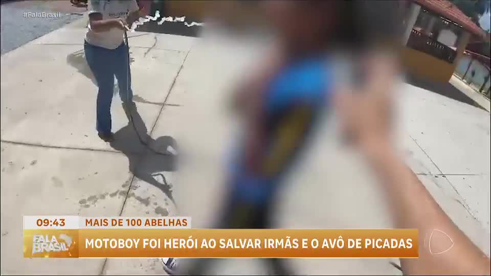 Motociclista salva família atacada por enxame de abelhas em Minas Gerais