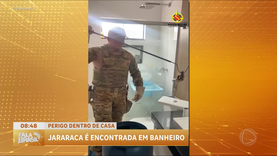 Família encontra jararaca em banheiro de casa no Distrito Federal