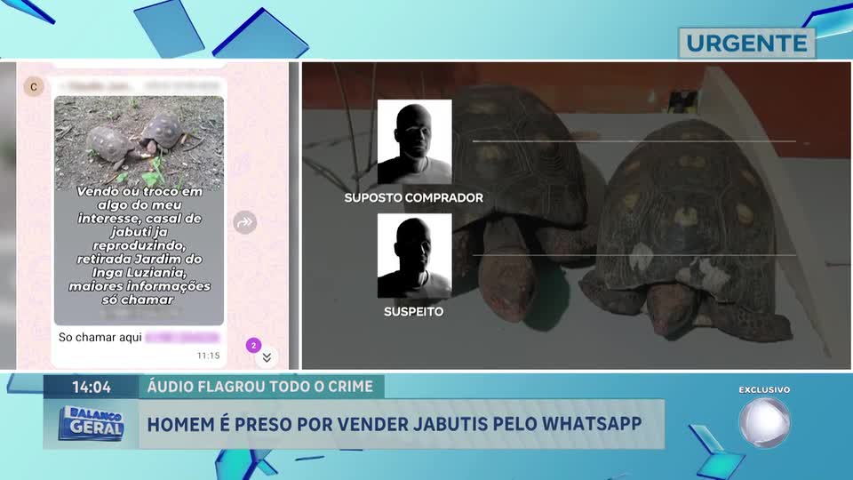 Homem é preso no DF por venda de animais silvestres em grupo de mensagens