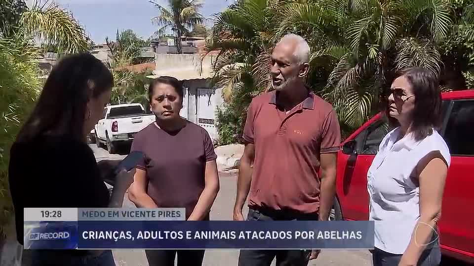 Criação de abelhas dentro de casa assusta moradores de condomínio em Vicente Pires (DF)