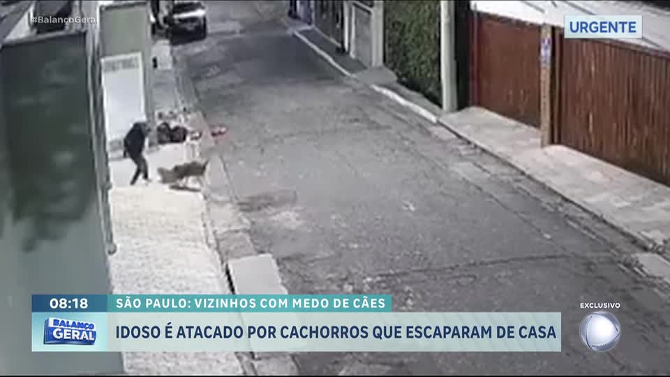 Idoso é atacado por cachorros que fugiram de casa na zona norte de São Paulo