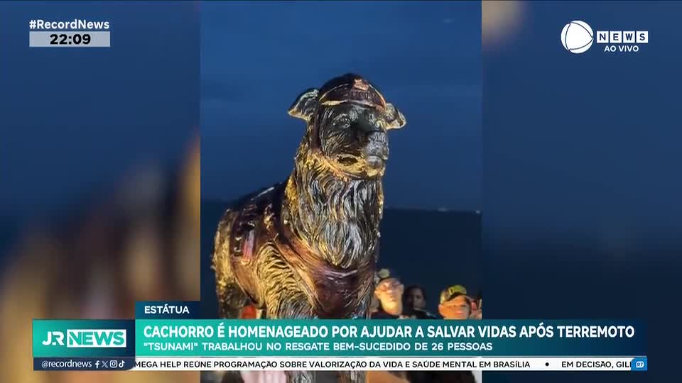 Cachorro é homenageado por ajudar a salvar vidas após terremoto