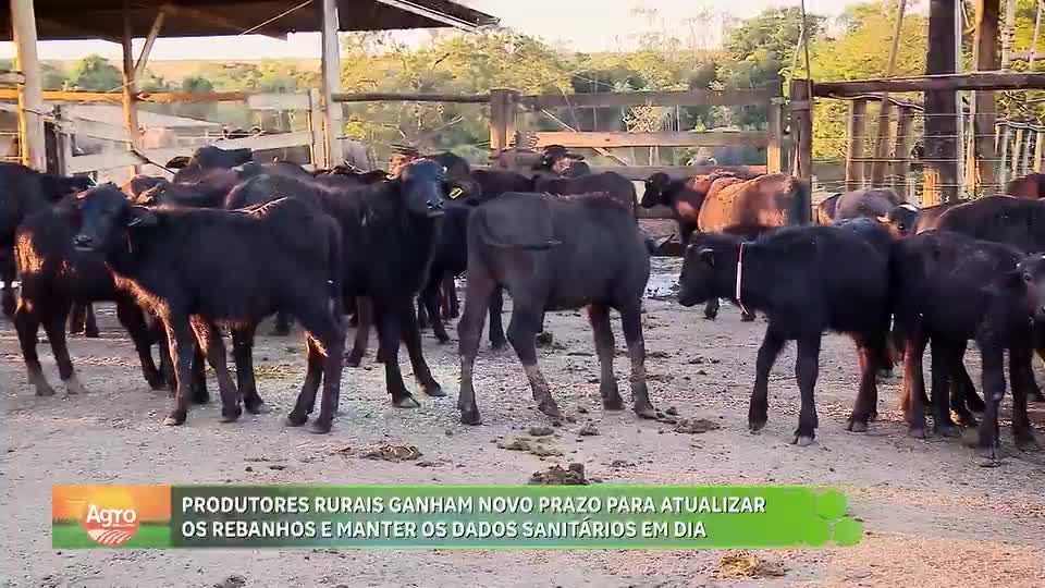 Produtores rurais do DF devem atualizar rebanhos até 5 de outubro