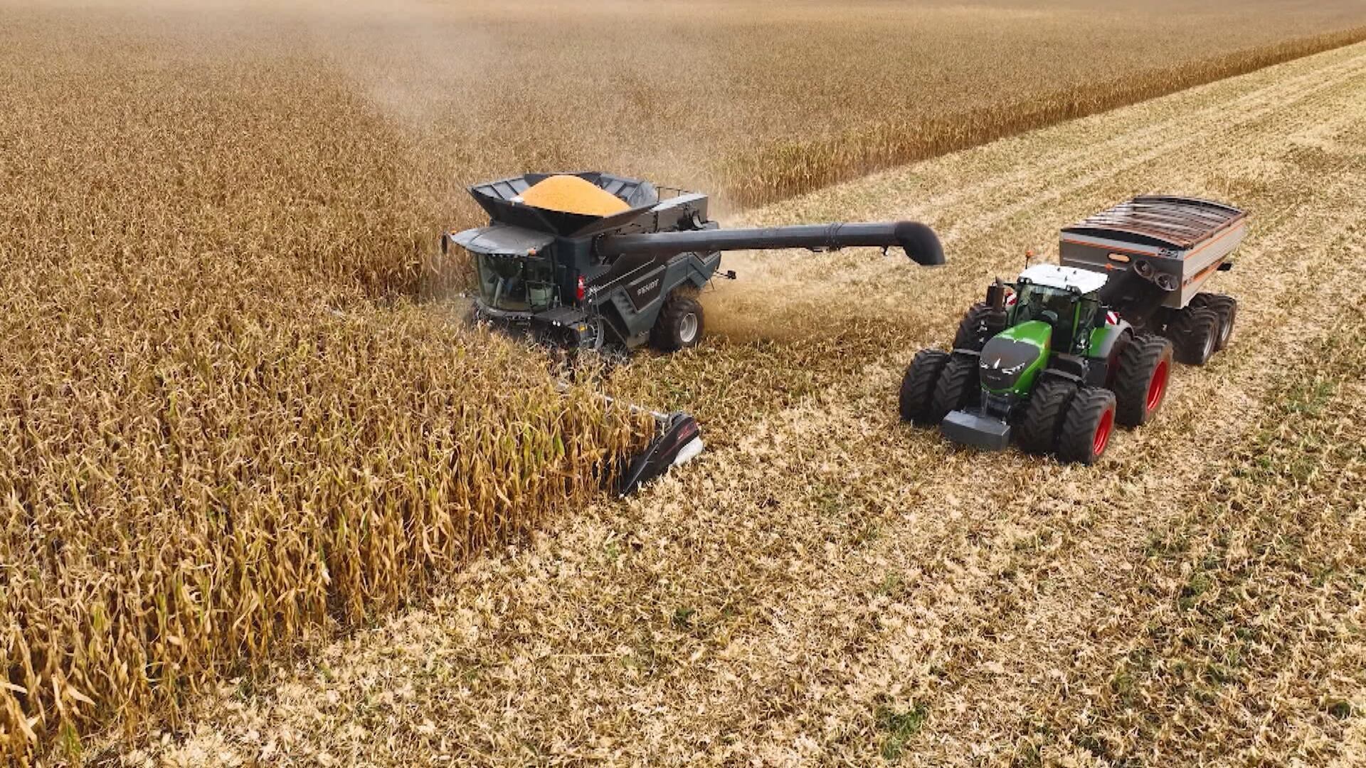 Saiba como a crise interna no STF pode impactar o agro