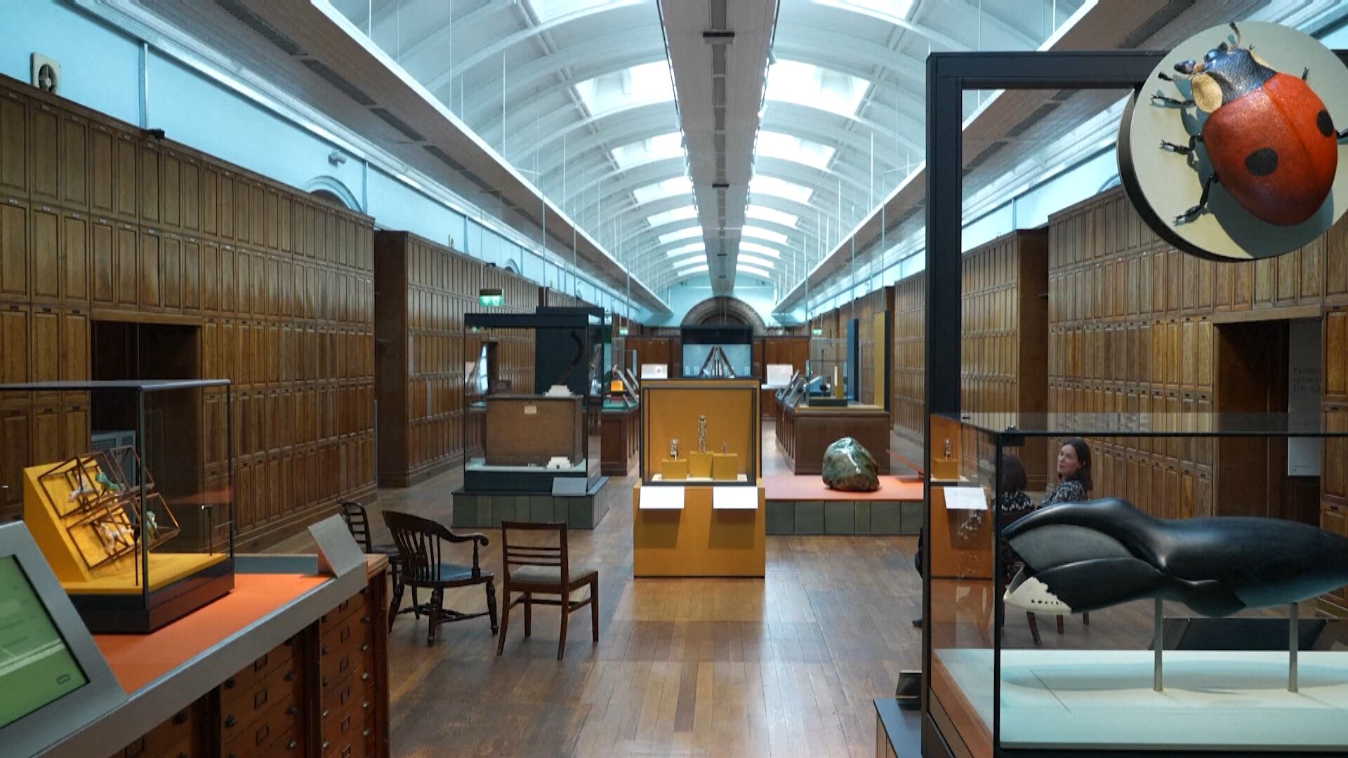 Museu de História Natural de Londres reabre galeria