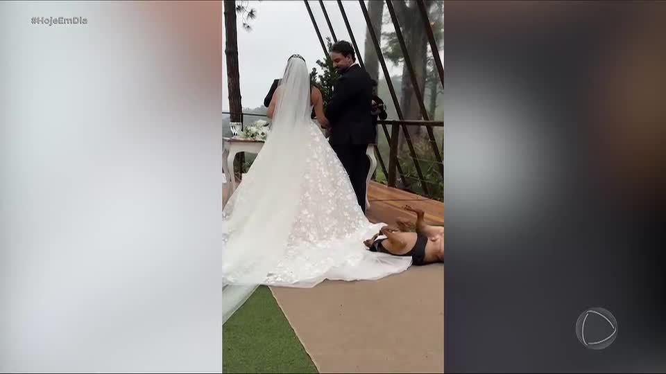 Pitbull que levou alianças se diverte com vestido da noiva durante casamento