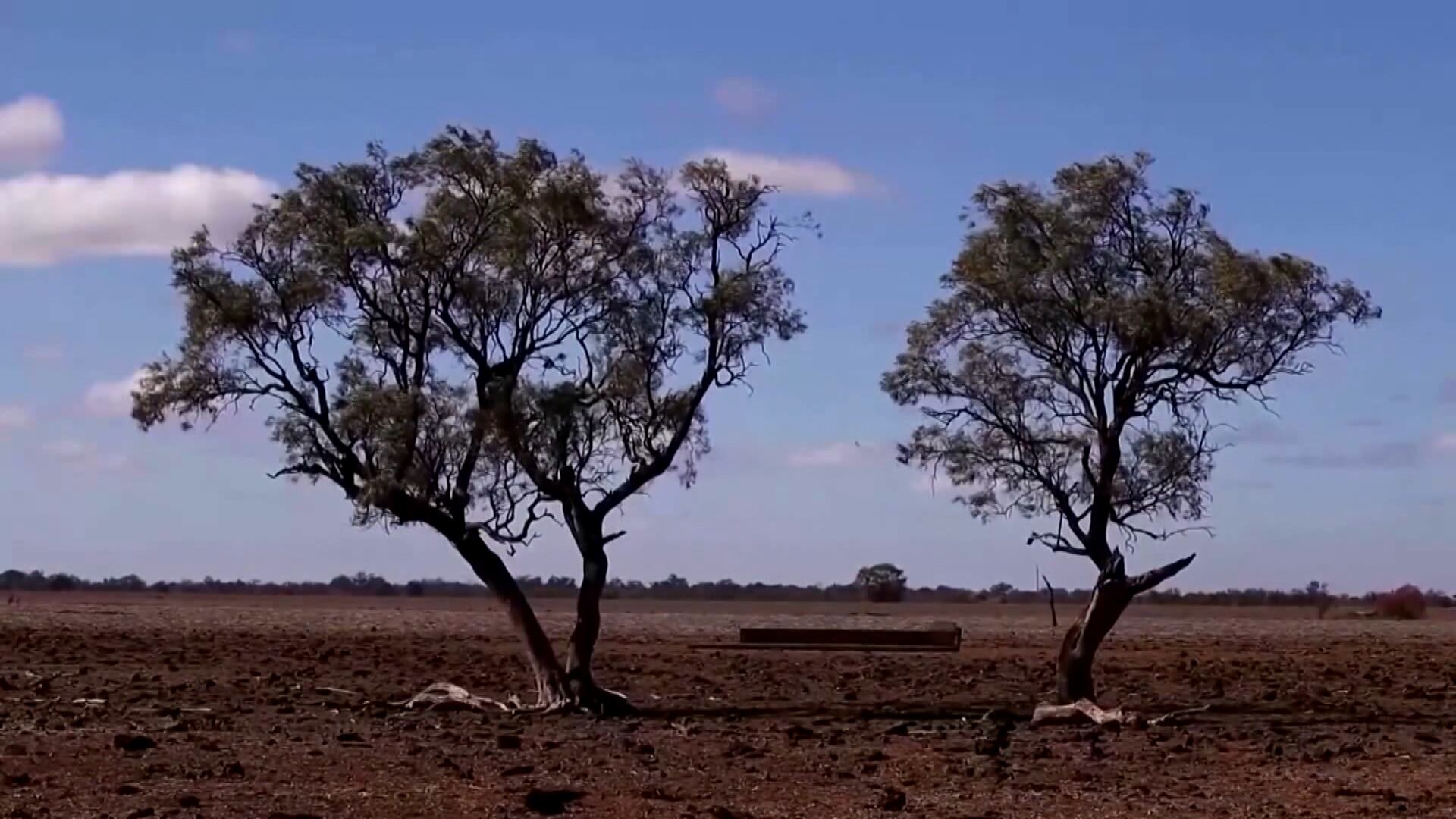 Super El Niño pode aumentar mortes por calor no mundo, diz estudo