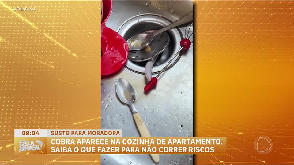 Cobra-cega surpreende moradora em Londrina ao surgir na pia; veja o que fazer