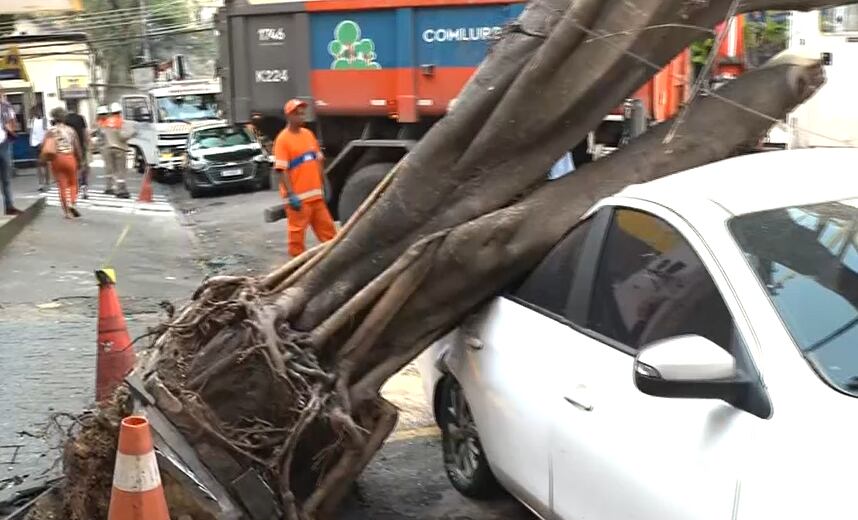 Árvore cai após ventos acima de 80 km/h na Tijuca, zona norte do Rio