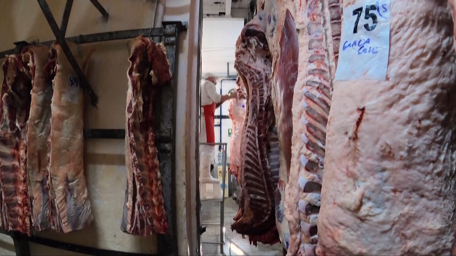 Japão abre mercado para carne bovina argentina