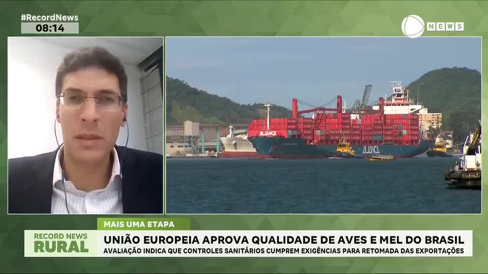 União Europeia aprova qualidade de aves e mel do Brasil