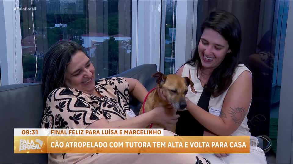 Cão sobrevivente das enchentes do RS recebe alta após atropelamento
