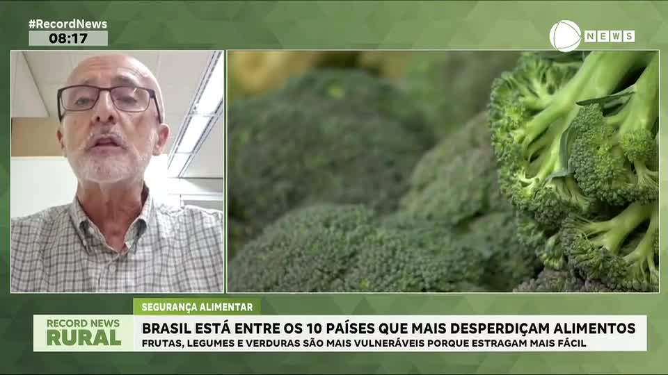 Brasil é um dos países que mais produz e desperdiça alimentos