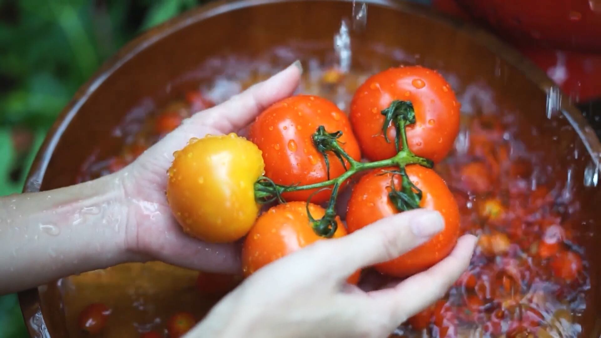 Silvânia (GO) é a maior produtora de tomates do Brasil