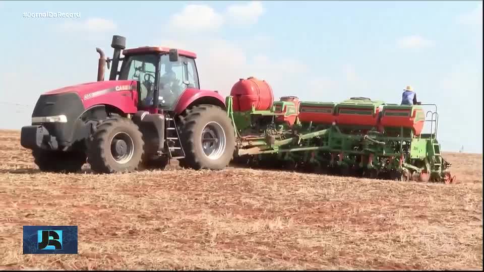 Nova safra de soja começa em regiões do Brasil e produtores se preocupam com o El Niño