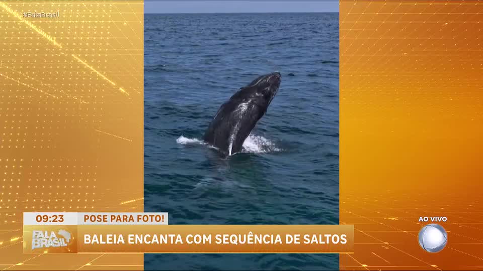 Baleia-jubarte é avistada em Arraial do Cabo, no Rio