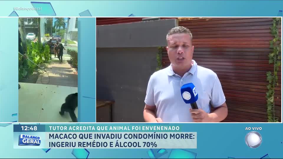 Macaco-prego que invadiu condomínio morre após ingerir remédios e álcool 70% em Salvador (BA)