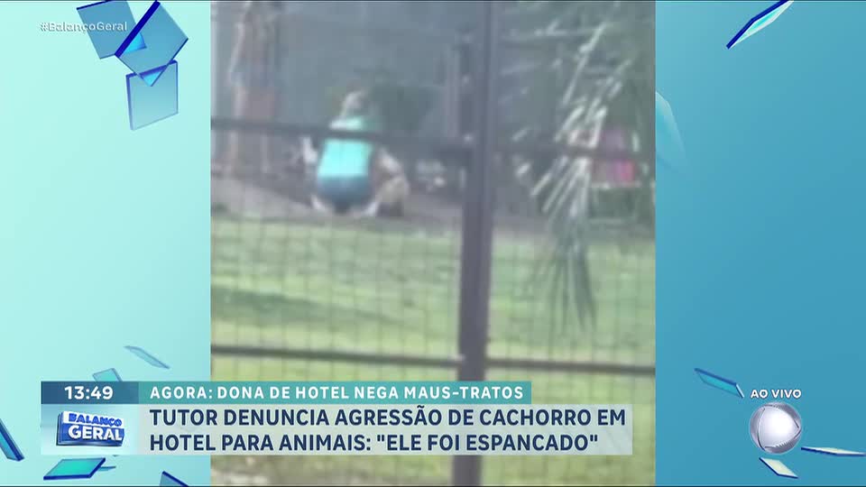Tutor denuncia agressão de cachorro em hotel para animais em Campo Grande (MS)