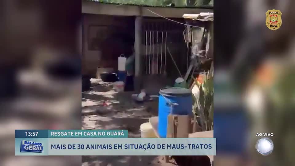 Mais de 30 animais são resgatados em situação de maus-tratos no Guará (DF)