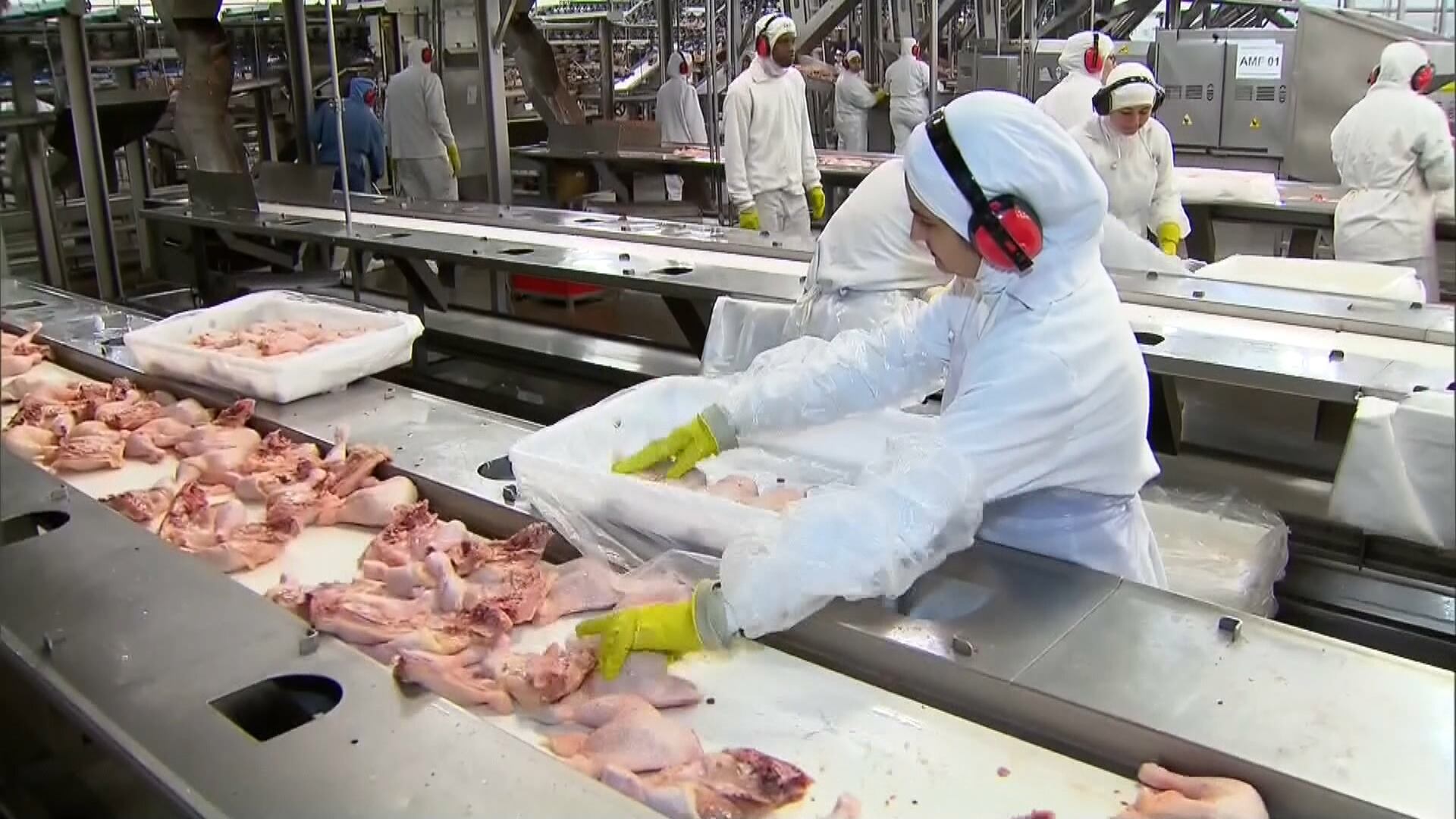 China aumenta produção de carne de frango em 9% no primeiro semestre