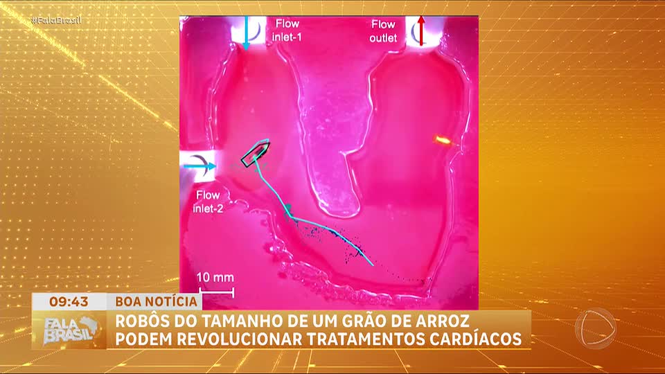 Boa Notícia: Pesquisadores desenvolvem minirrobôs para entregar medicamentos diretamente no coração