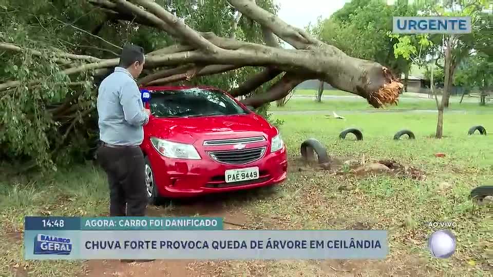 Temporal provoca estragos em Ceilândia (DF) e derruba árvore sobre carro
