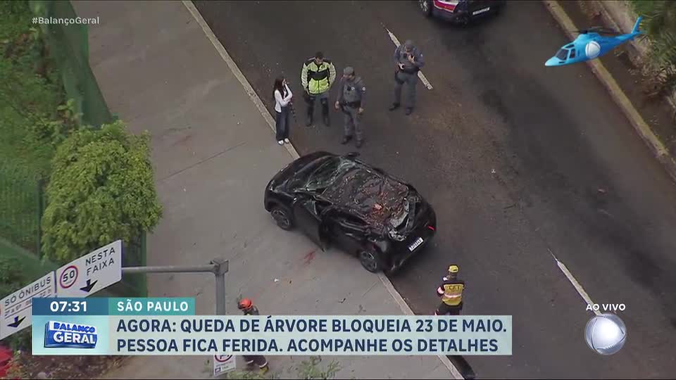 Árvore cai sobre carro e bloqueia trânsito na Avenida 23 de Maio, em São Paulo