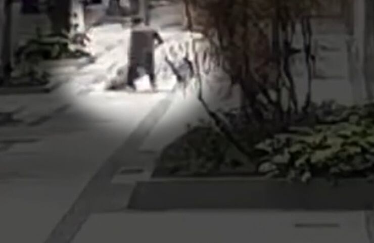 Criminoso que baleou e agrediu idosa em assalto no Rio já tinha diversas passagens policiais