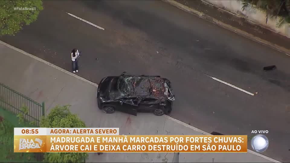 Árvore cai na Avenida 23 de Maio e deixa uma pessoa ferida
